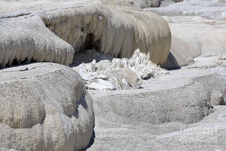 Mammoth Hot Springs Upper Terraces in Yellowstone National Park #3 Photograph by Louise Heusinkveld