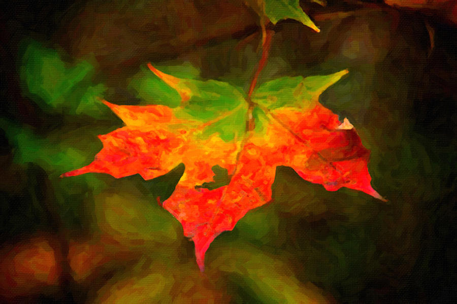 Maple Leaf #3 Painting by Prince Andre Faubert