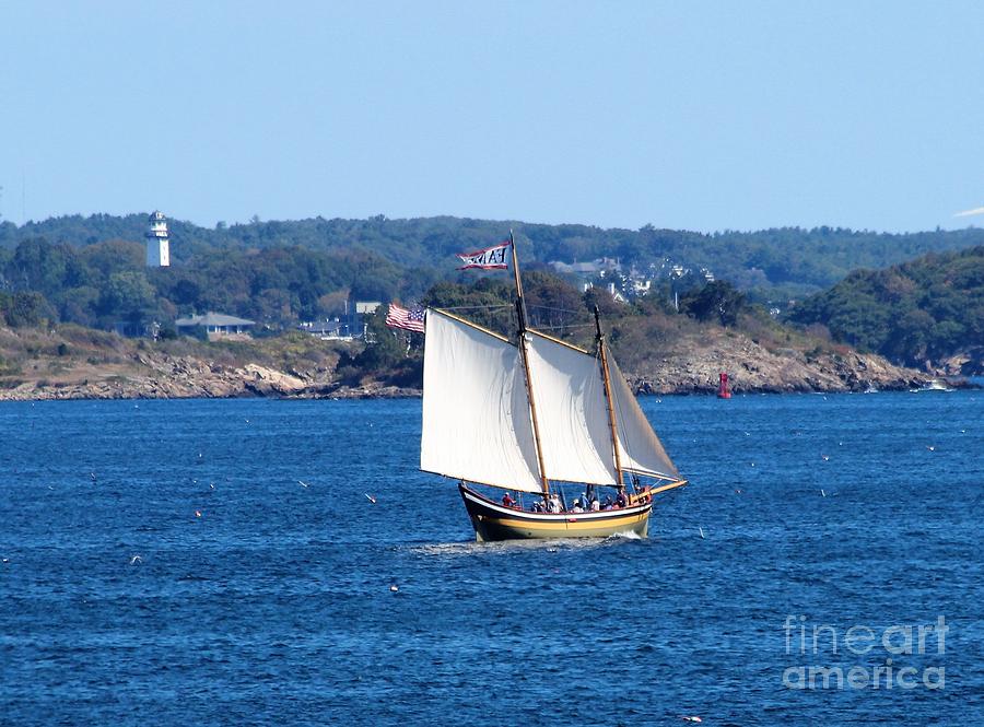 Marblehead MA #3 Photograph by Donn Ingemie