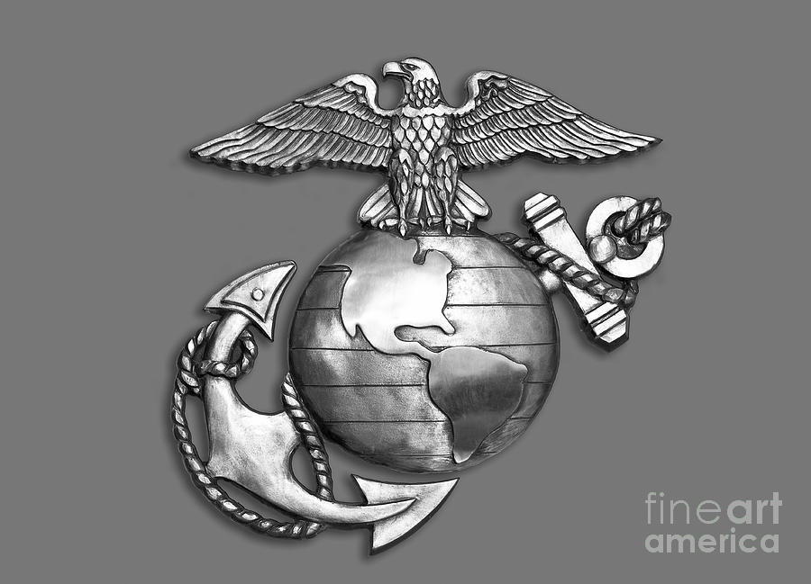 Marine Eagle ,Globe and Anchor. #3 Photograph by W Scott McGill - Pixels