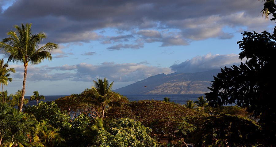 Maui HI #3 Photograph by Dean Ferreira