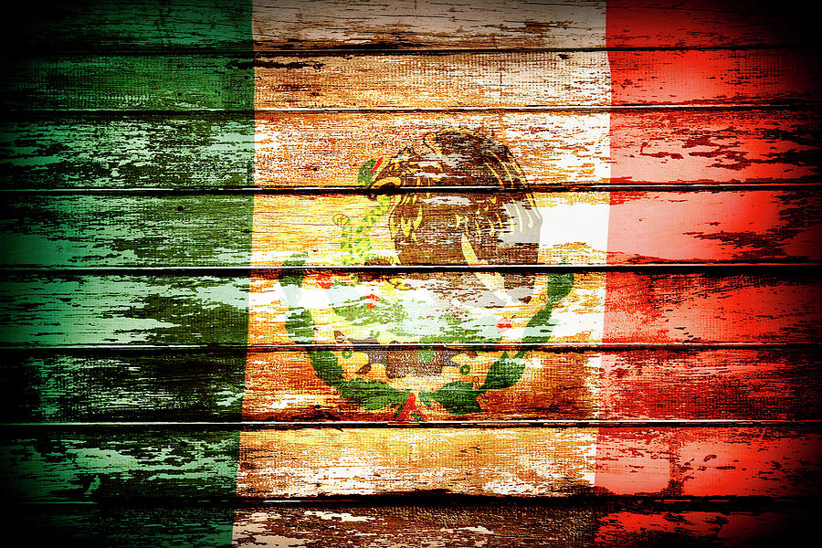 Mexican flag #3 Photograph by Les Cunliffe