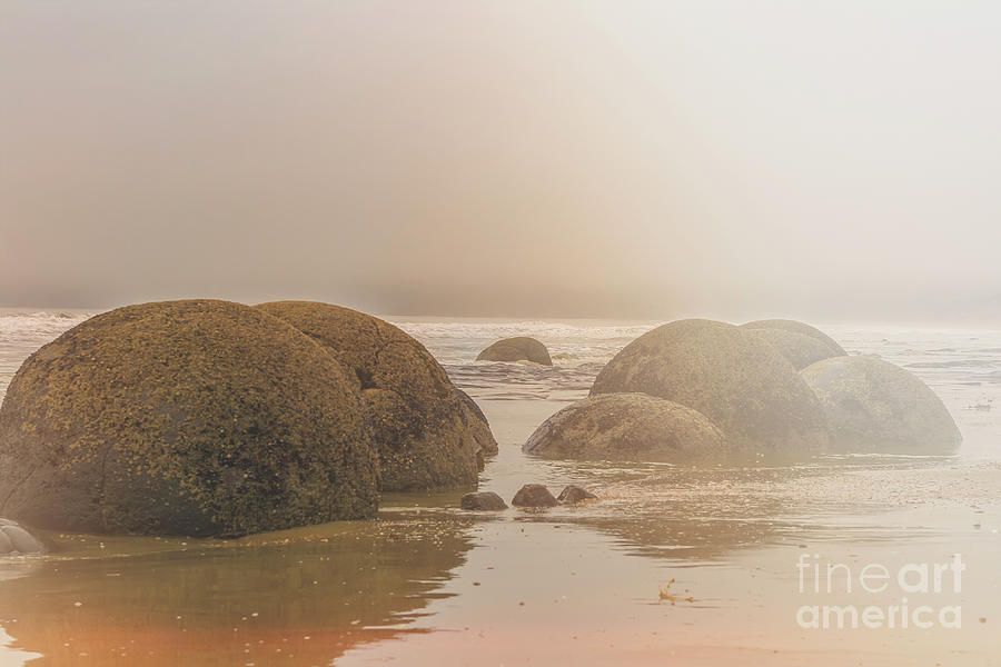 Moeraki boulders in fog Photograph by Patricia Hofmeester