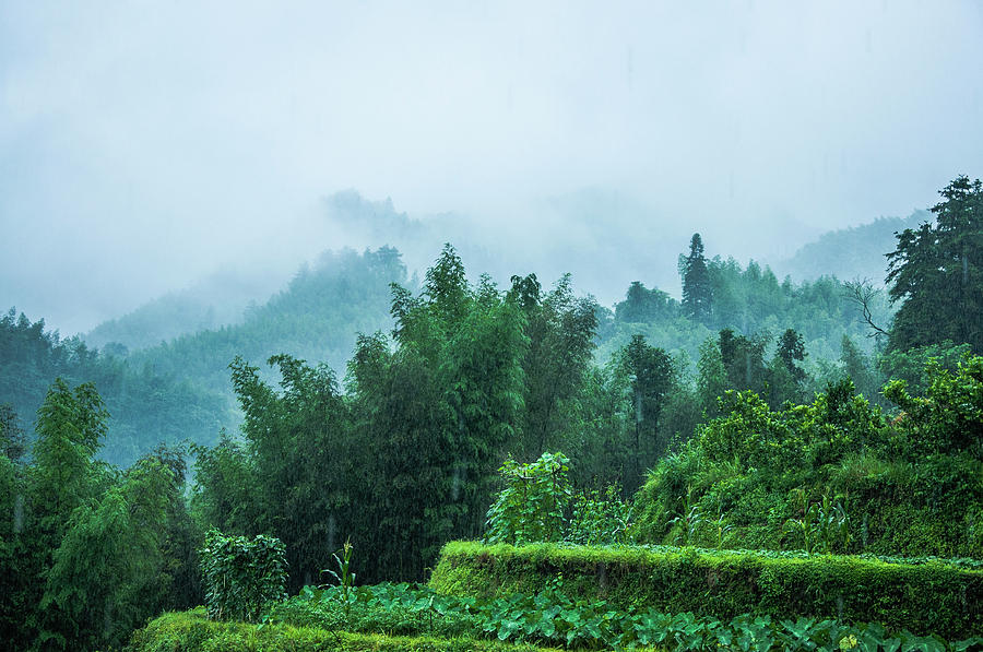 Mountains scenery in the mist #3 Photograph by Carl Ning