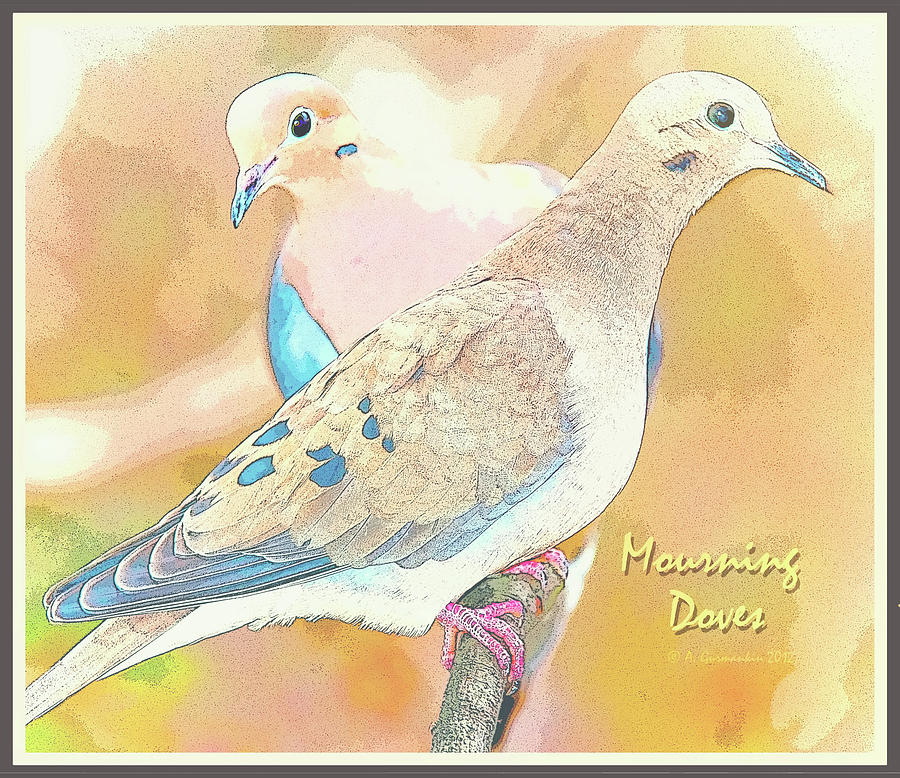 Mourning Dove Pair Poster Image #3 Digital Art by A Macarthur Gurmankin