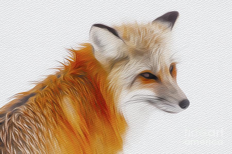 Wildlife Painting - Mr Fox #3 by Esoterica Art Agency