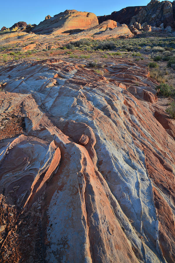 Multicolored Sandstone of Valley of Fire #3 Photograph by Ray Mathis