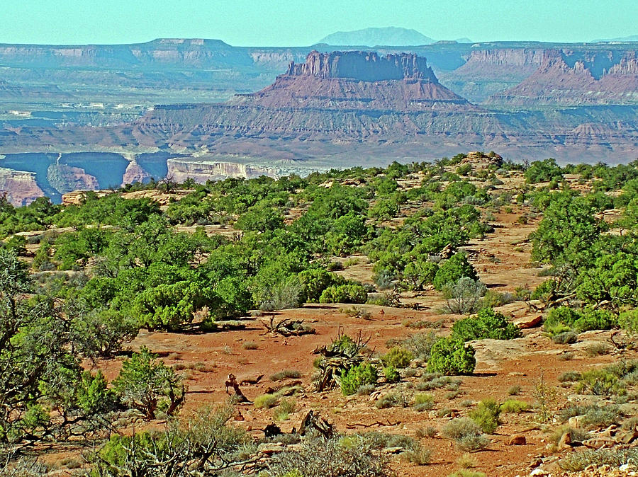  Murphy Point Trail in Island in the Sky District in Canyonlands National Park, Utah #3 Photograph by Ruth Hager