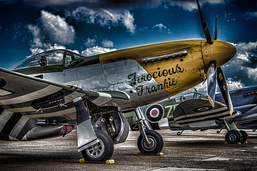 Plane Photograph - Mustang by Martin Newman Plane Photograph - Mustang by Martin Newman