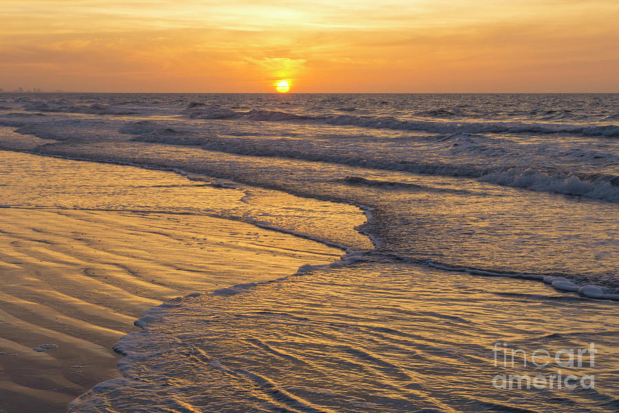 Nature Photograph - Myrtle Beach #3 by Jonathan Welch
