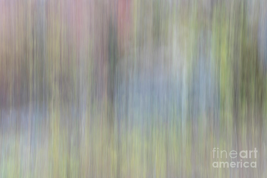 Nature Motion Blur Abstract #3 Photograph by Marek Uliasz