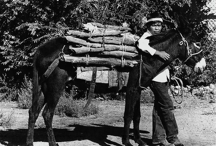 Navajo Boy Donkey Carrying Wood Inter-tribal Indian Rodeo Gallup New Mexico 1969. #4 Photograph by David Lee Guss