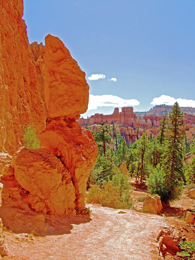 Navajo Trail in Bryce Canyon National Park, Utah #3 Photograph by Ruth Hager