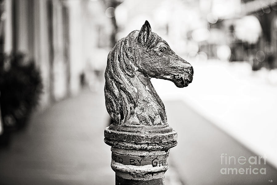 New Orleans Photograph - New Orleans Hitching Post - sepia by Scott Pellegrin