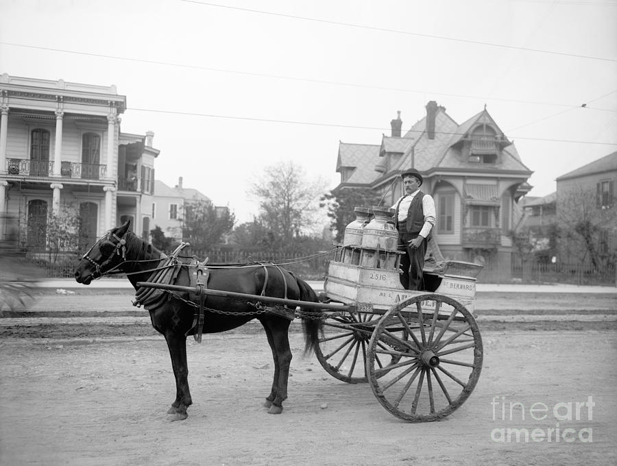New Orleans, Milk Cart.  #3 Photograph by Granger