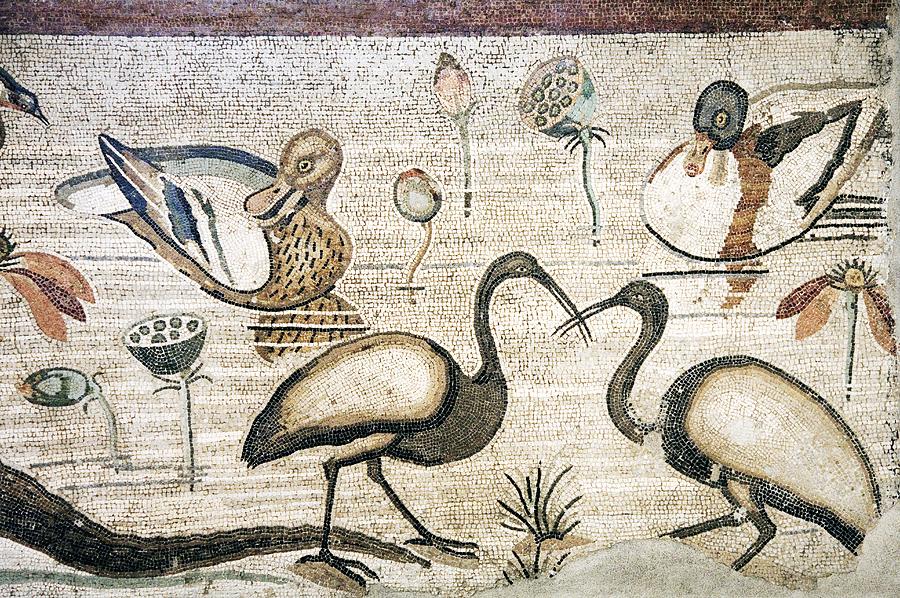 Duck Photograph - Nile Flora And Fauna, Roman Mosaic #3 by Sheila Terry