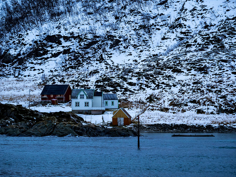 Norwegian Homes #3 Photograph by Mark Llewellyn