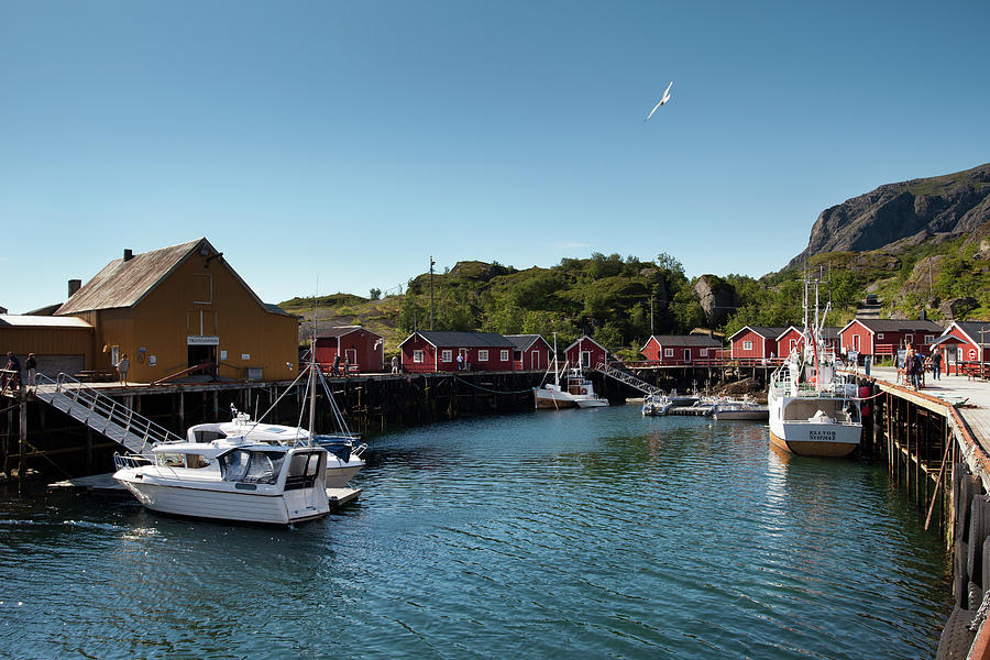 Nusfjord Fishing Village #3 Photograph by Aivar Mikko