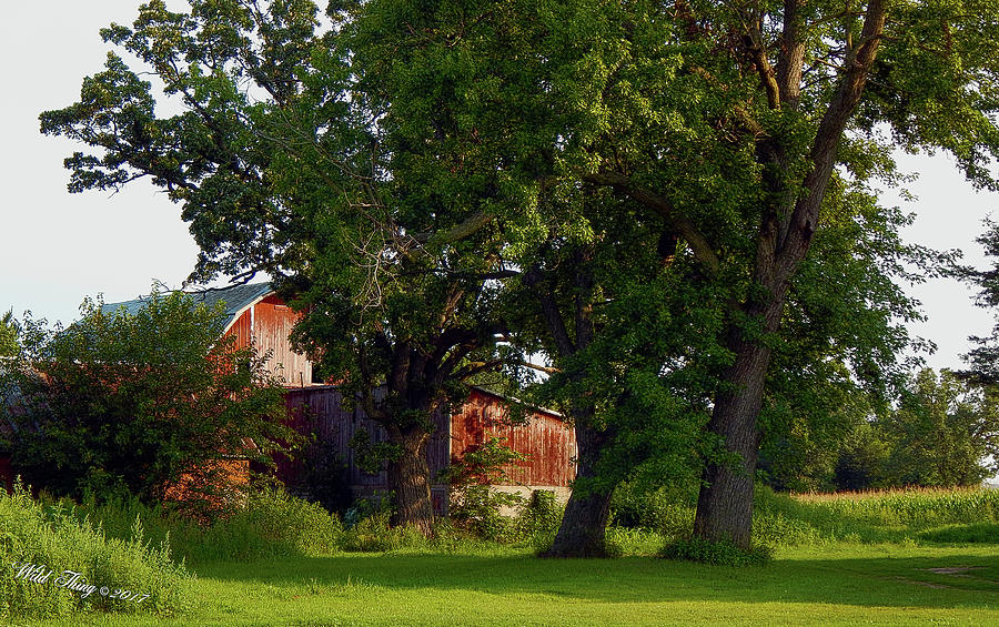 3 Oaks Barn Photograph by Wild Thing