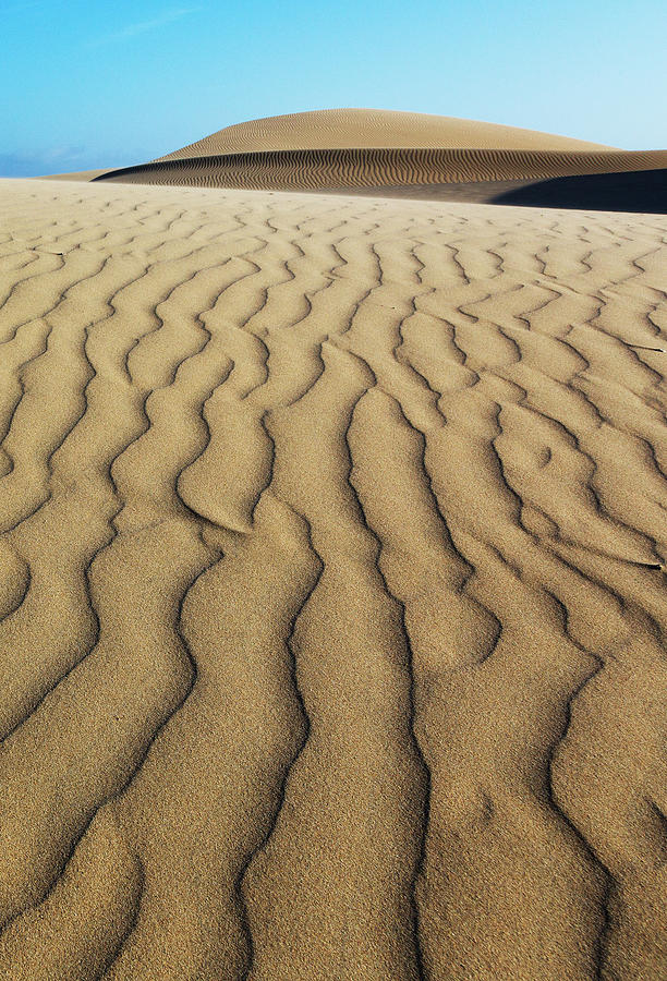 Oceano Dunes Natural Preserve