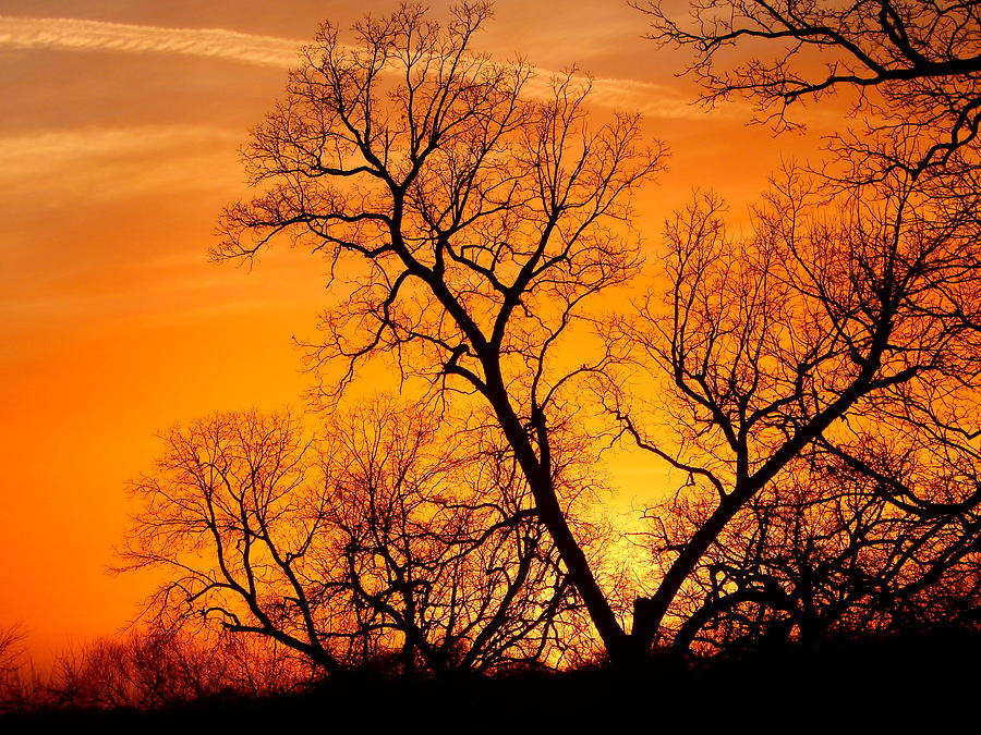 Oklahoma sunset #3 Photograph by Virginia White