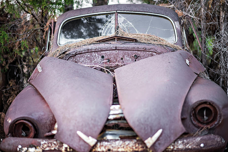 Old Rusty Abandoned Automobile In The Woods #3 Photograph by Alex Grichenko
