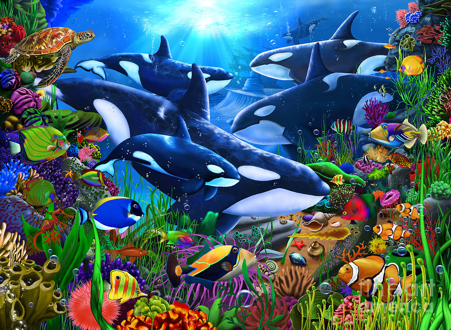 Orcas Ocean Domain #3 Digital Art by MGL Meiklejohn Graphics Licensing