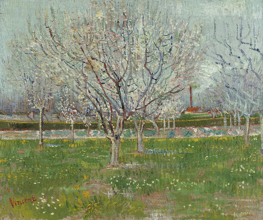 Orchard in Blossom-Plum Trees #4 Painting by Vincent van Gogh
