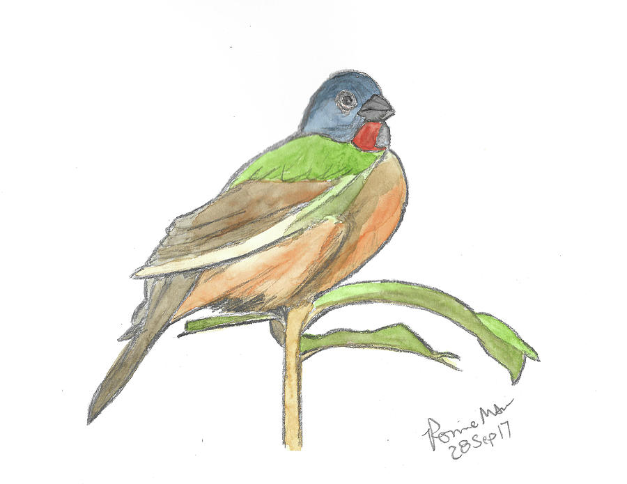 Painted Bunting #3 Mixed Media by Ronnie Maum