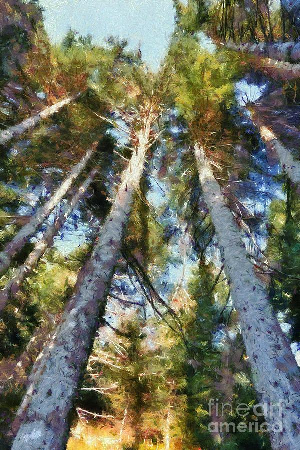 Painting of fir trees forest #1 Painting by George Atsametakis