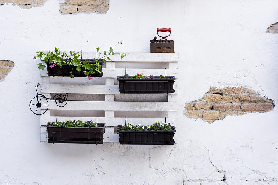 Flower Photograph - Pallet ideas for gardening #3 by Newnow Photography By Vera Cepic