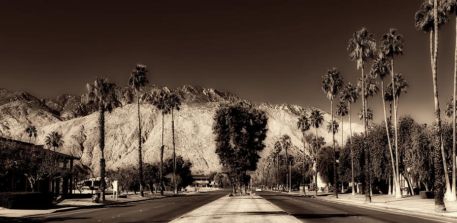 Palm Springs California #3 Photograph by Mountain Dreams