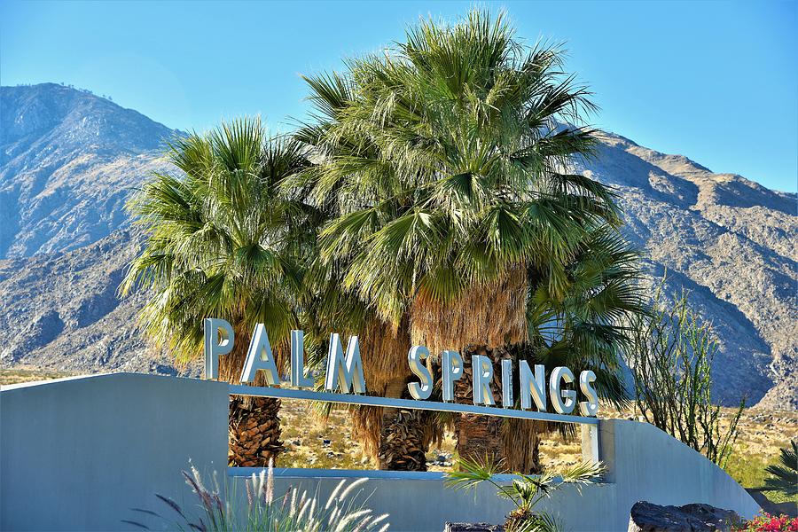 Palm Springs Welcome #3 Photograph by Lisa Dunn
