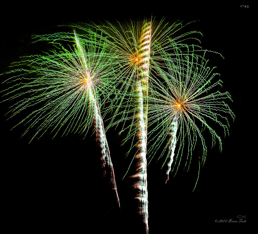 3 Palm Trees Fireworks Photograph by Brian Tada