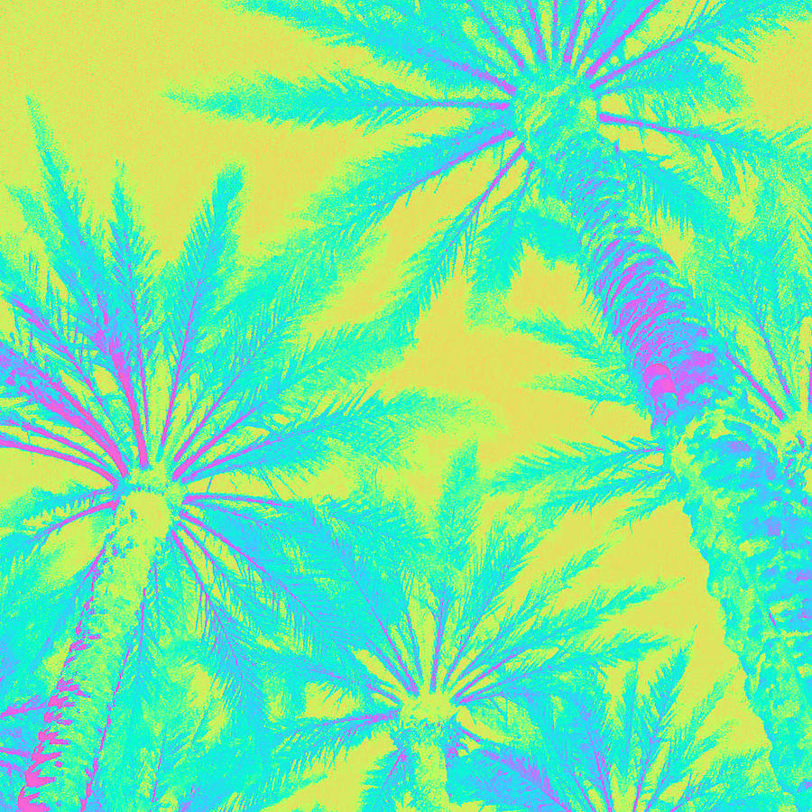 Palm Trees On My Mind #4 Digital Art by Stephanie Agliano