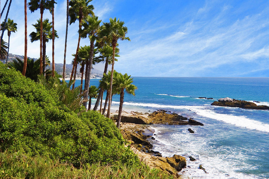 Palms And Seashore, California Coast Photograph