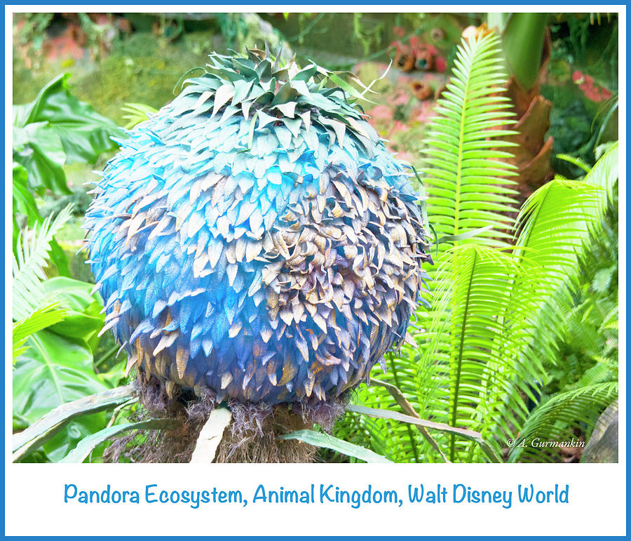 Pandora Ecosystem, Animal Kingdom, Walt Disney World #4 Photograph by A Macarthur Gurmankin