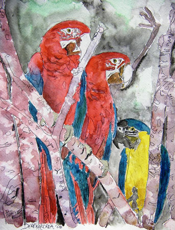 Bird Painting - 3 Parrots by Derek Mccrea