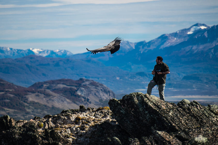 Patagonia Condor #3 Photograph by Walt Sterneman