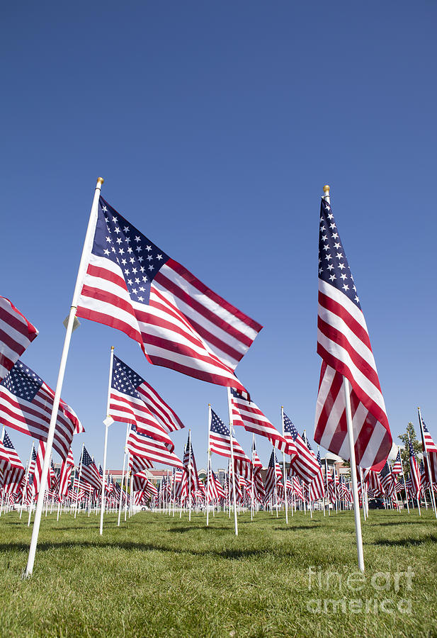 Patriotic American Flag Display #3 Photograph by Anthony Totah
