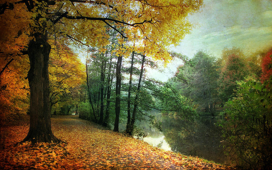 Fall Photograph - Peaceful Path #3 by Jessica Jenney