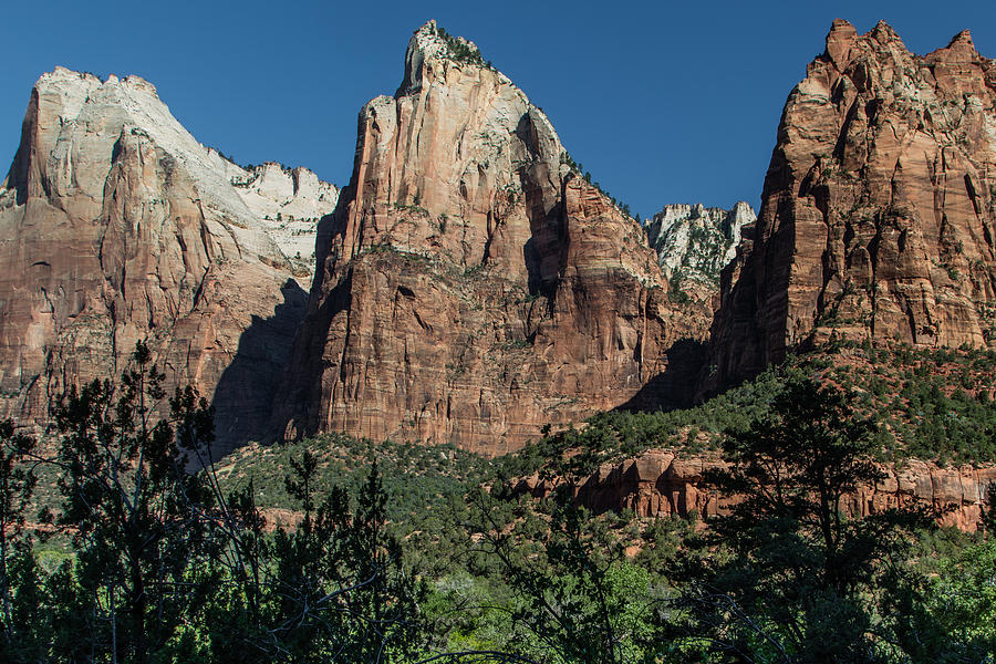 3 peaks in Zion  Photograph by John McGraw