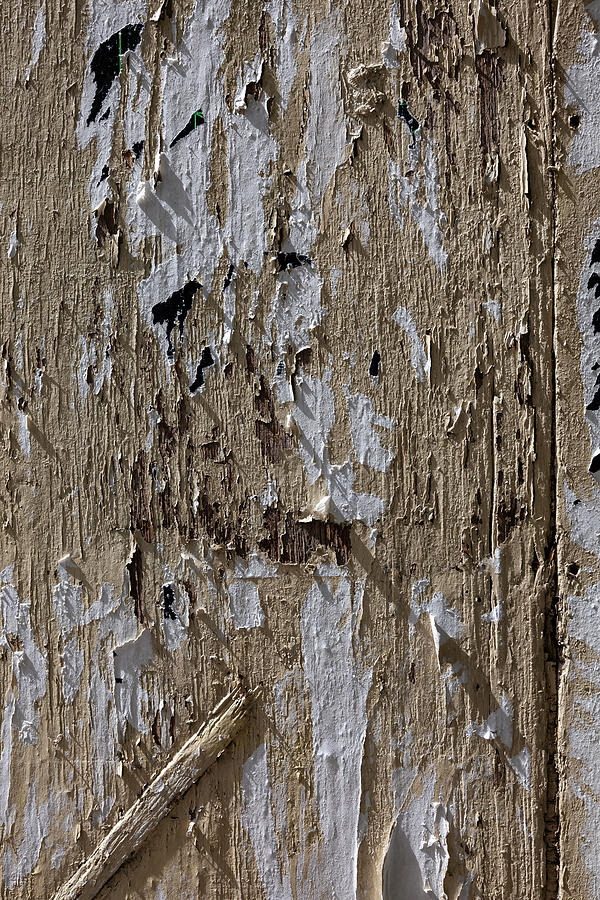 Peeling Paper Cracked and Painted Wood #3 Photograph by Robert Ullmann