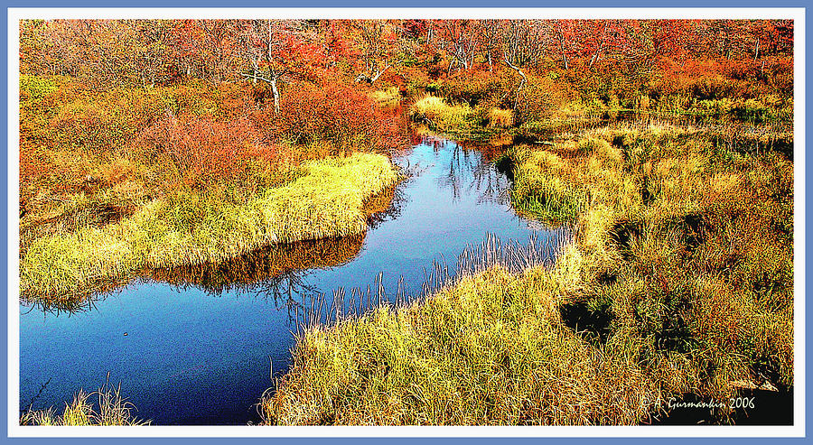 Pennsylvania Wetland in Autumn Digital Art #3 Digital Art by A Macarthur Gurmankin