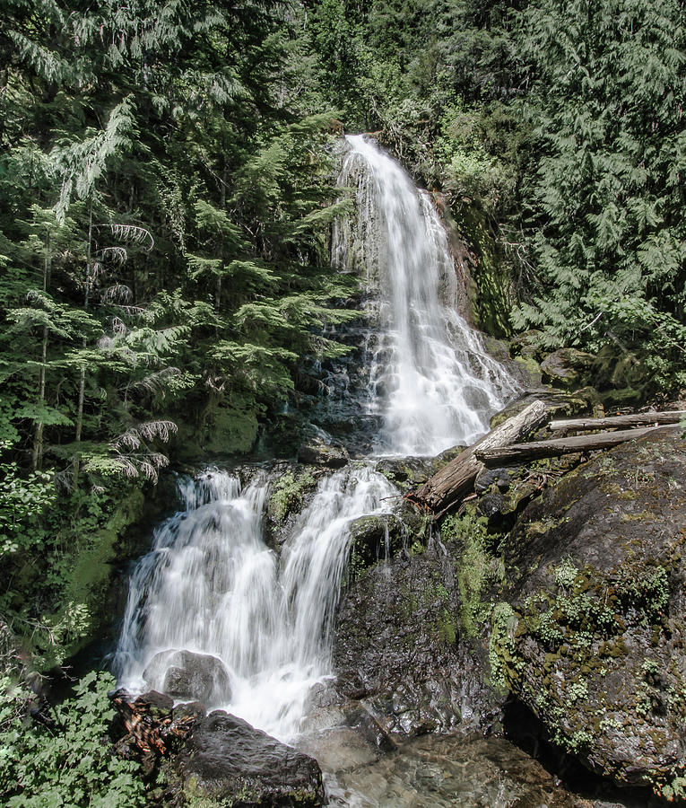 Falls Creek Falls Photograph by Jaime Mercado
