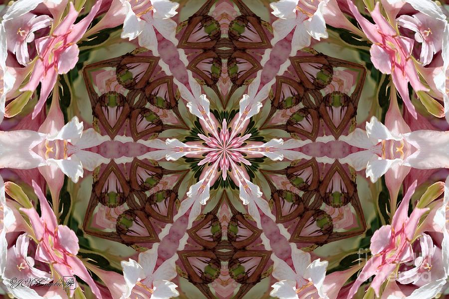 Pink Splash Kaleidoscope #4 Mixed Media by J McCombie