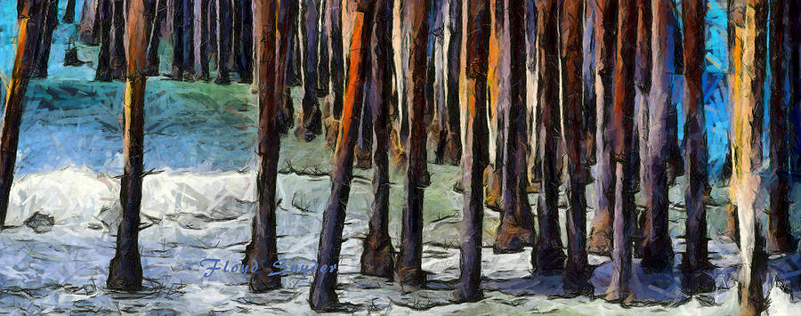 Pismo Pier Pilings Abstract #3 Photograph by Floyd Snyder