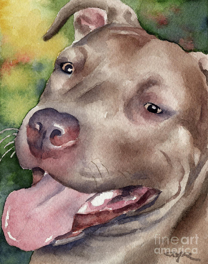 Portrait Painting - Pit Bull #2 by David Rogers