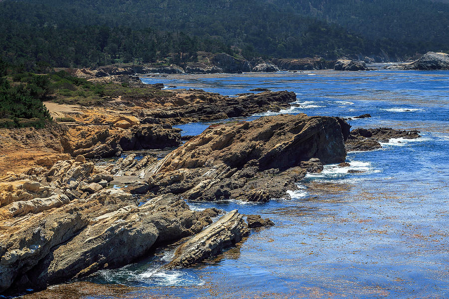 Point Lobos State Natural Preserve Photograph by John Bosma