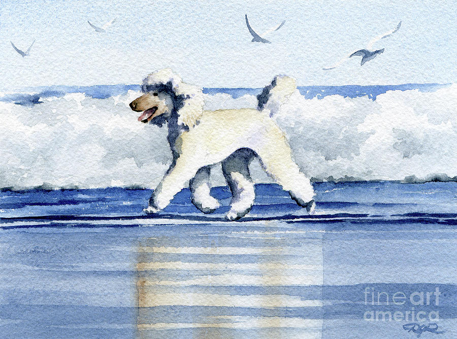 Poodle Painting - Poodle at the Beach  #2 by David Rogers